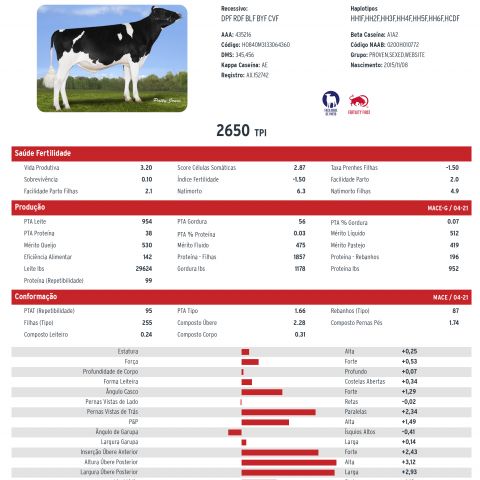 VIEWPOINT - Holstein 