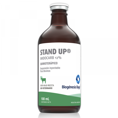 STAND UP X 100 mL