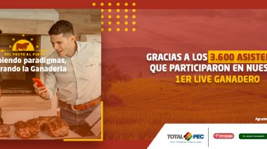 TOTALPEC CREA VALOR PARA LA CADENA PRODUCTIVA DE LA CARNE EN BOLIVIA