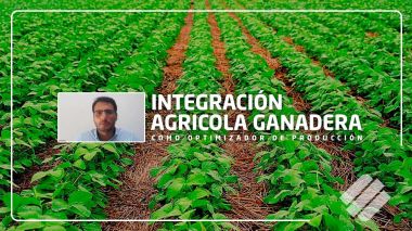 Integración agrícola ganadera, webinar Totalpec
