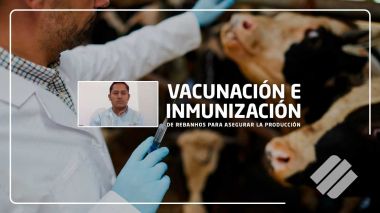 Vacunación e inmunización de rebaños para asegurar la producción, webinar Totalpec