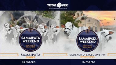 SAMAIPATA WEEKEND 