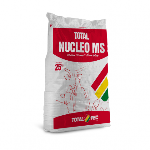 TOTAL NUCLEO MS